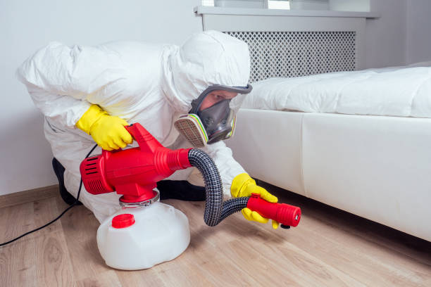 Professional Pest Control in North Redington Beach, FL