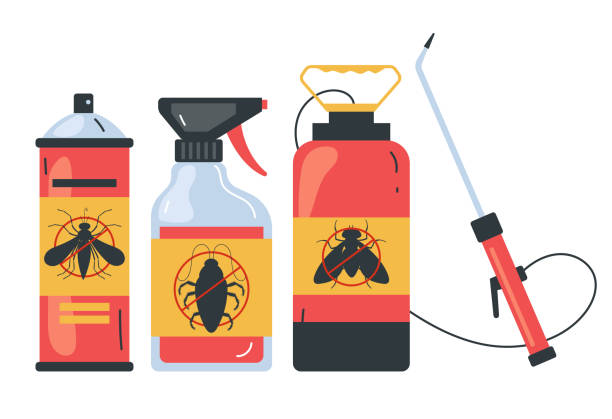 Best Local Pest Control Services  in North Redington Beach, FL